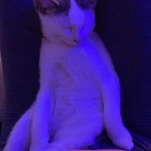 Meet your Posher, Isaiah